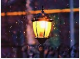 2025 Lighting Trends
